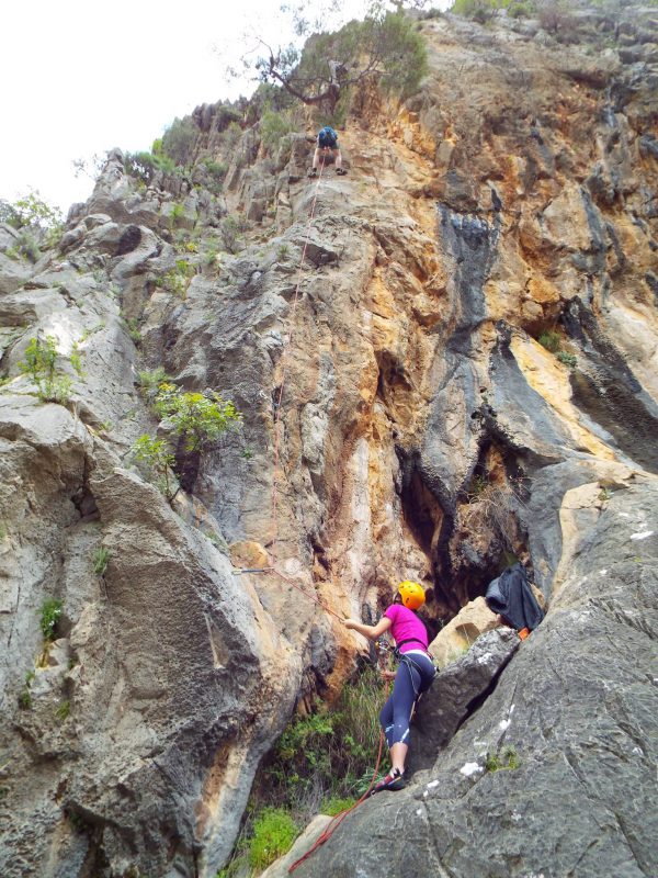 Trip participants