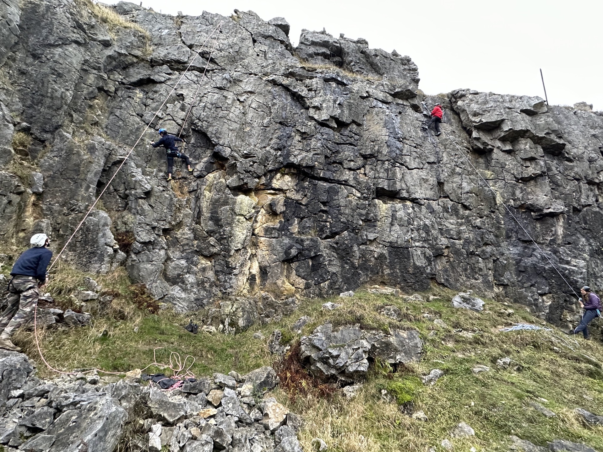 The Roaches